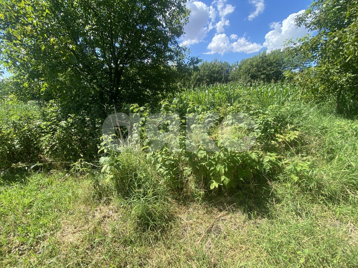 Фото №28: Дом <span class="whitespace-nowrap">70 м²</span> <span class="whitespace-nowrap">+ 47 сот.</span>, <span class="whitespace-nowrap">1 эт.</span> - Пролетарский, ул. Огородняя, 7