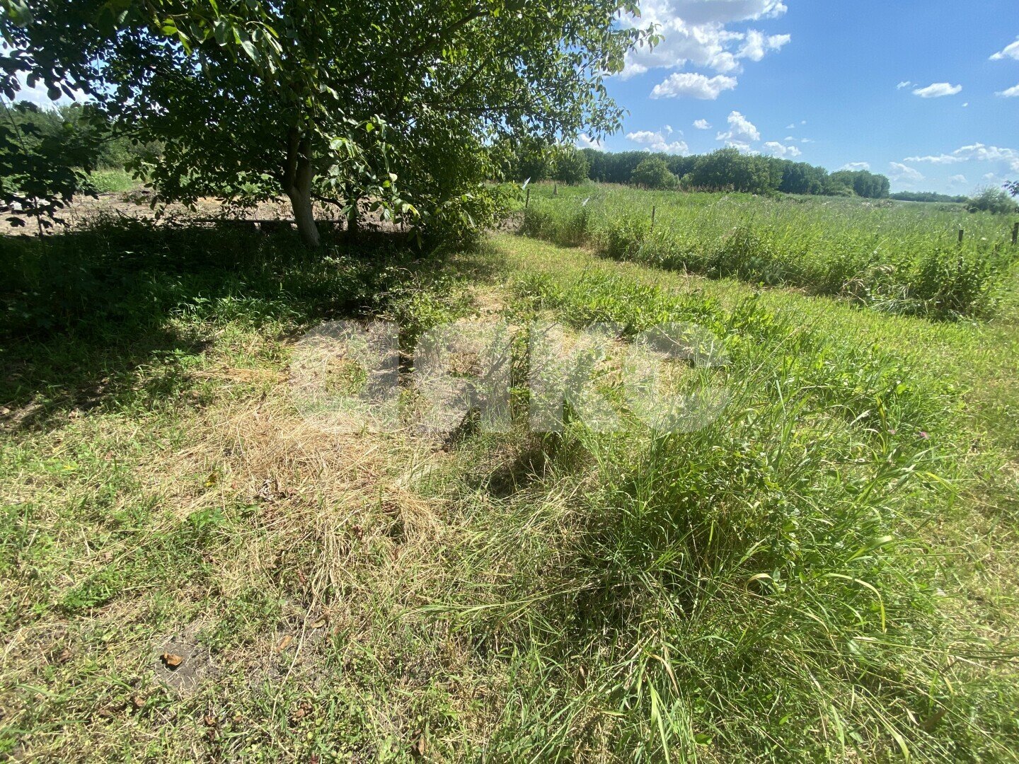 Фото №26: Дом <span class="whitespace-nowrap">70 м²</span> <span class="whitespace-nowrap">+ 47 сот.</span>, <span class="whitespace-nowrap">1 эт.</span> - Пролетарский, ул. Огородняя, 7