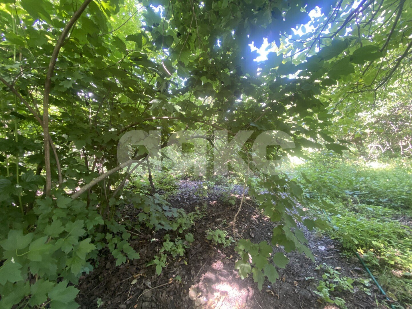 Фото №23: Дом <span class="whitespace-nowrap">70 м²</span> <span class="whitespace-nowrap">+ 47 сот.</span>, <span class="whitespace-nowrap">1 эт.</span> - Пролетарский, ул. Огородняя, 7