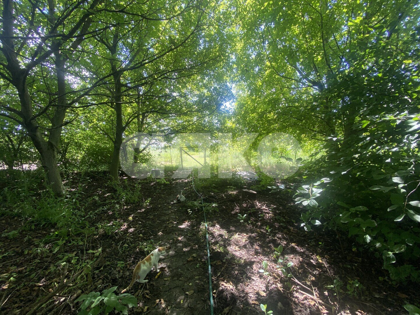 Фото №24: Дом <span class="whitespace-nowrap">70 м²</span> <span class="whitespace-nowrap">+ 47 сот.</span>, <span class="whitespace-nowrap">1 эт.</span> - Пролетарский, ул. Огородняя, 7