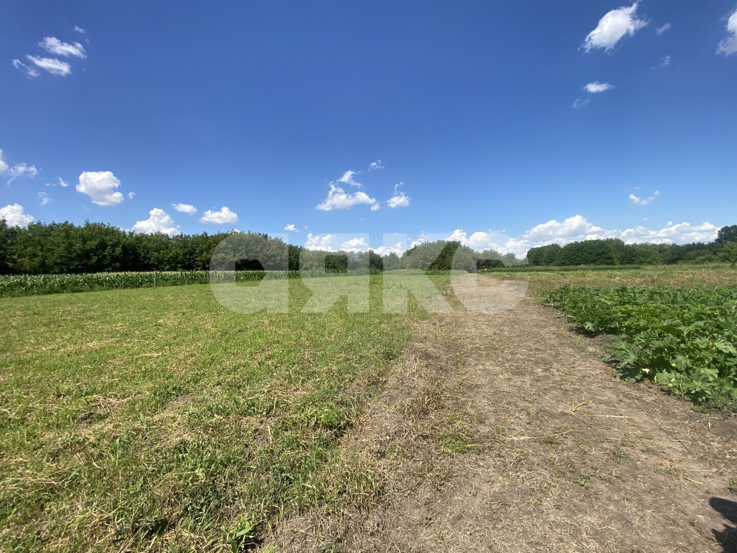 Фото №29: Дом <span class="whitespace-nowrap">70 м²</span> <span class="whitespace-nowrap">+ 47 сот.</span>, <span class="whitespace-nowrap">1 эт.</span> - Пролетарский, ул. Огородняя, 7