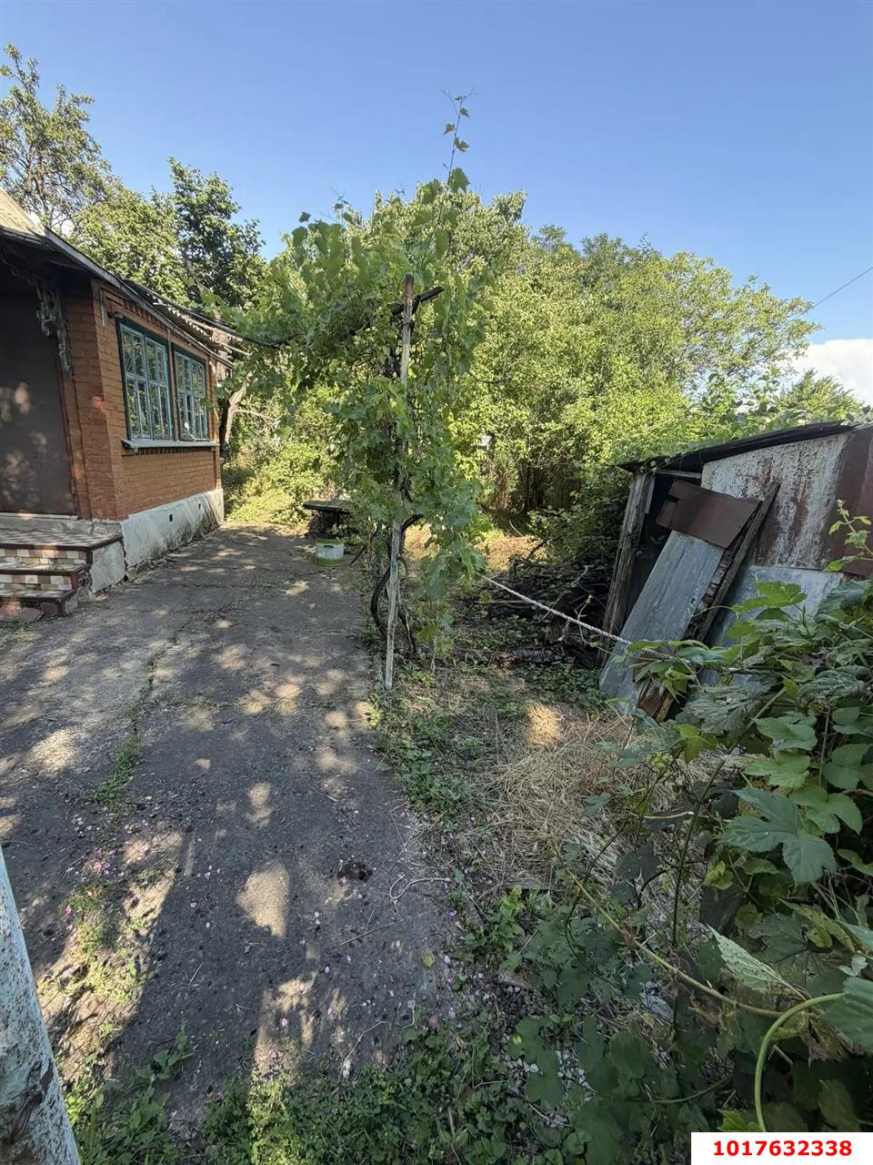 Фото №5: Дом <span class="whitespace-nowrap">31 м²</span> <span class="whitespace-nowrap">+ 4 сот.</span>, <span class="whitespace-nowrap">1 эт.</span> - Виктория, мкр. Прикубанский внутригородской округ, ул. Мичуринская, 205