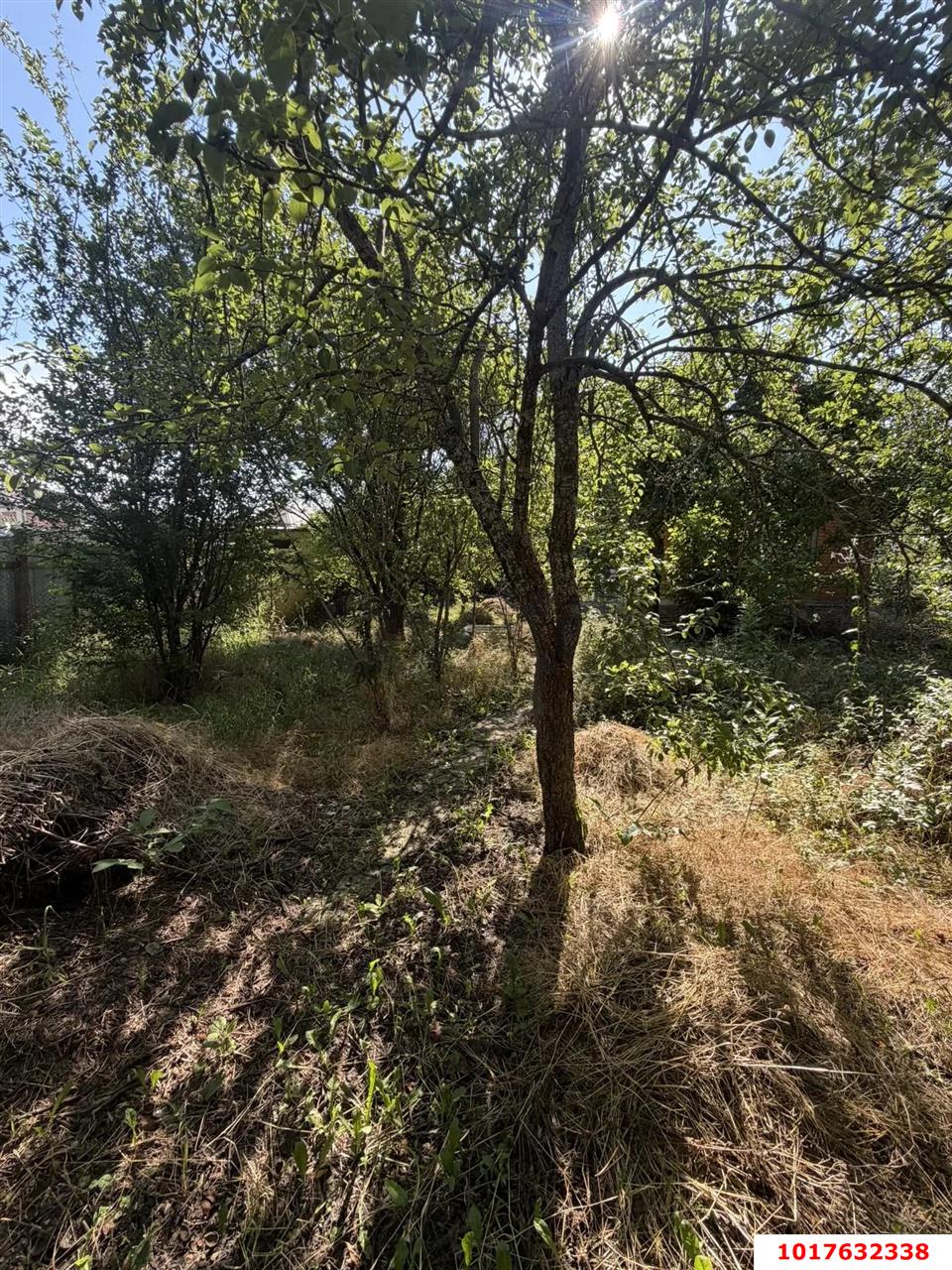 Фото №10: Дом <span class="whitespace-nowrap">31 м²</span> <span class="whitespace-nowrap">+ 4 сот.</span>, <span class="whitespace-nowrap">1 эт.</span> - Виктория, мкр. Прикубанский внутригородской округ, ул. Мичуринская, 205