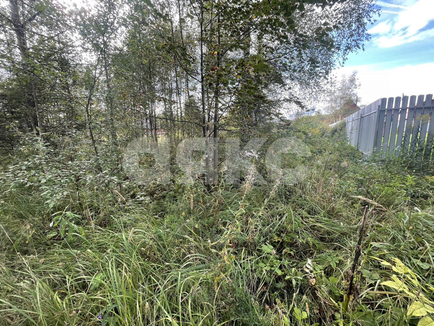 Фото №6: Личное подсобное хозяйство <span class="whitespace-nowrap">10 сот.</span> - Рылеево