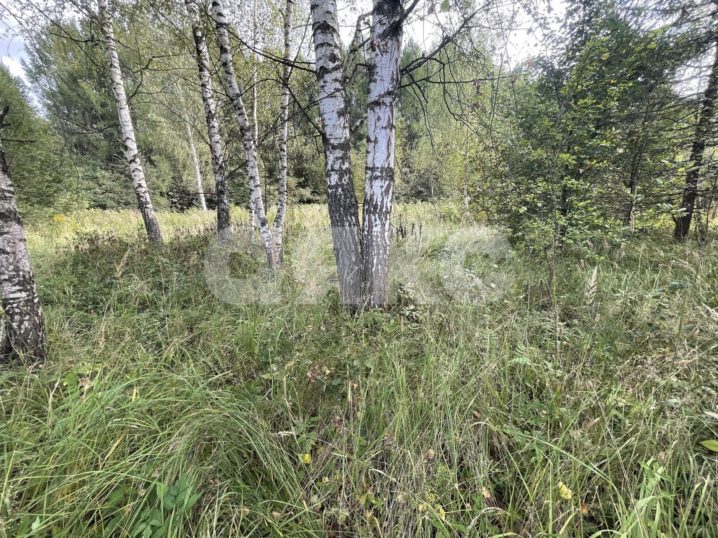 Фото №8: Личное подсобное хозяйство <span class="whitespace-nowrap">10 сот.</span> - Рылеево