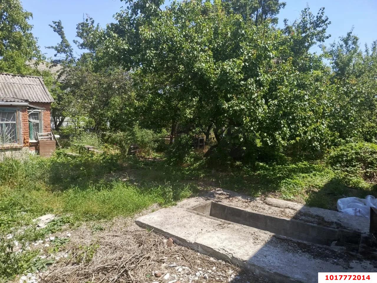 Фото №4: Личное подсобное хозяйство <span class="whitespace-nowrap">5 сот.</span> - СНТ 50 лет Октября, мкр. Прикубанский внутригородской округ, ул. Цветочная, 163