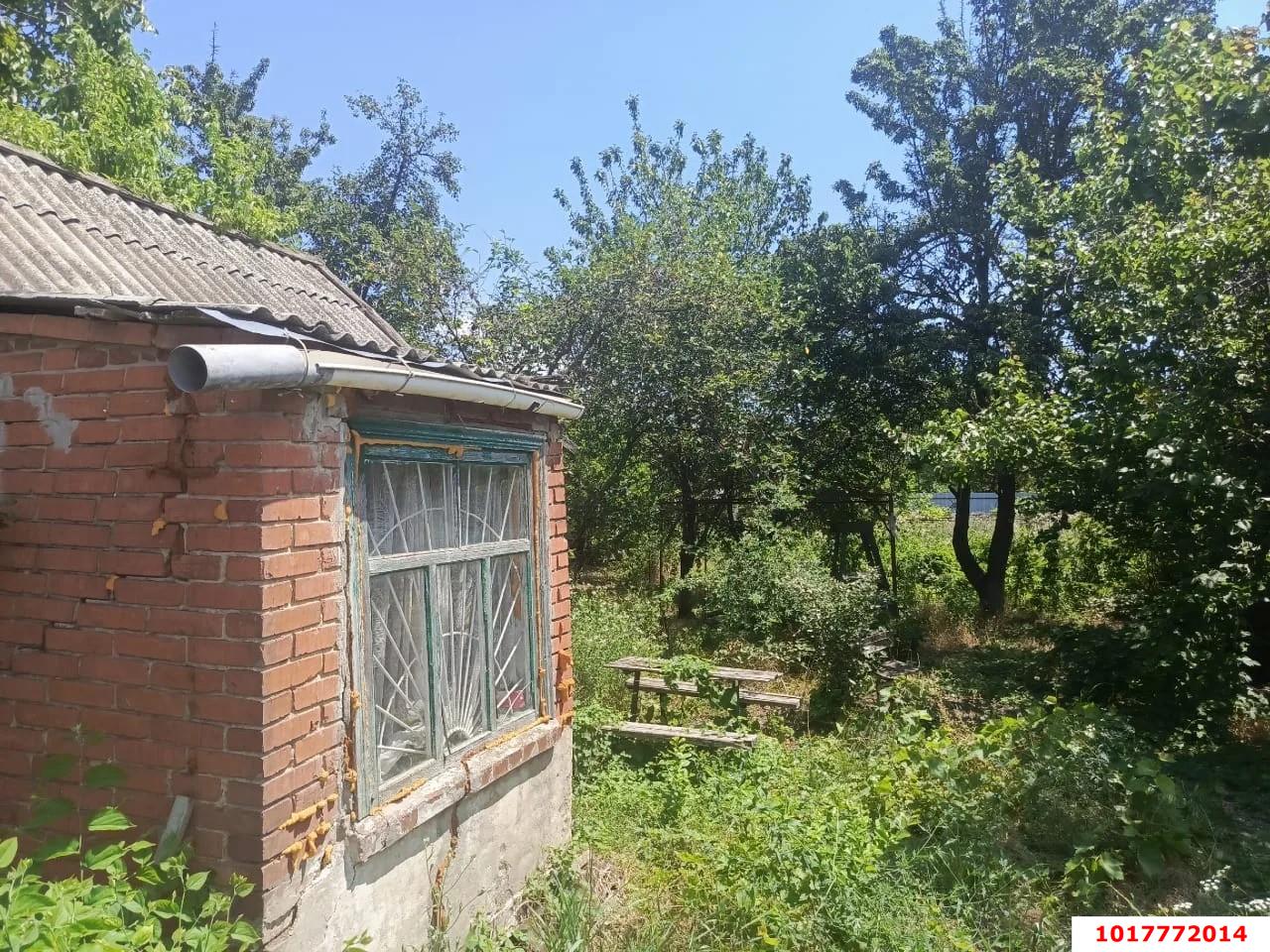 Фото №5: Личное подсобное хозяйство <span class="whitespace-nowrap">5 сот.</span> - СНТ 50 лет Октября, мкр. Прикубанский внутригородской округ, ул. Цветочная, 163