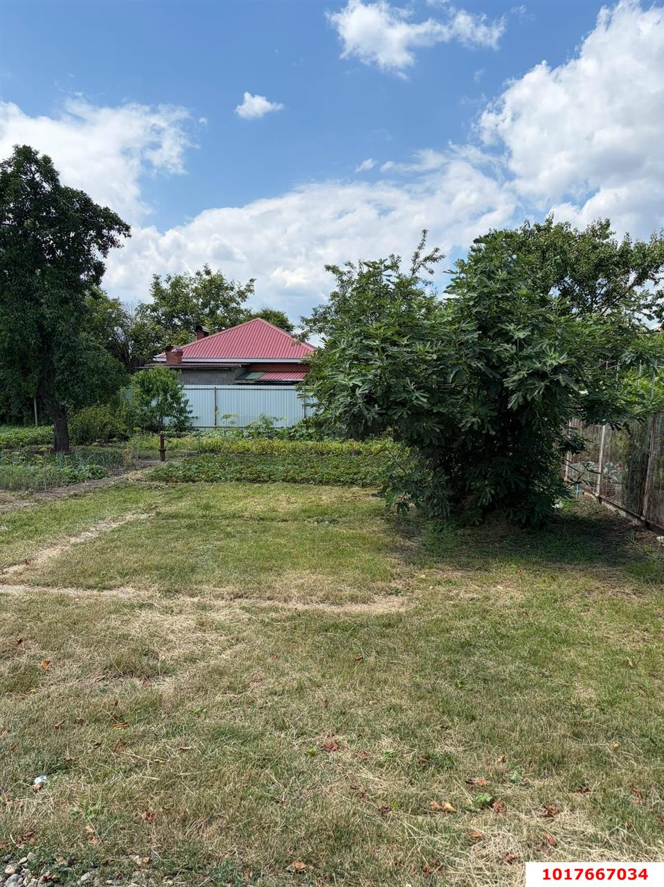 Фото №5: Личное подсобное хозяйство <span class="whitespace-nowrap">4 сот.</span> - Октябрьский, Прикубанский внутригородской округ, мкр. СНТ Нектар, ул. Абрикосовая