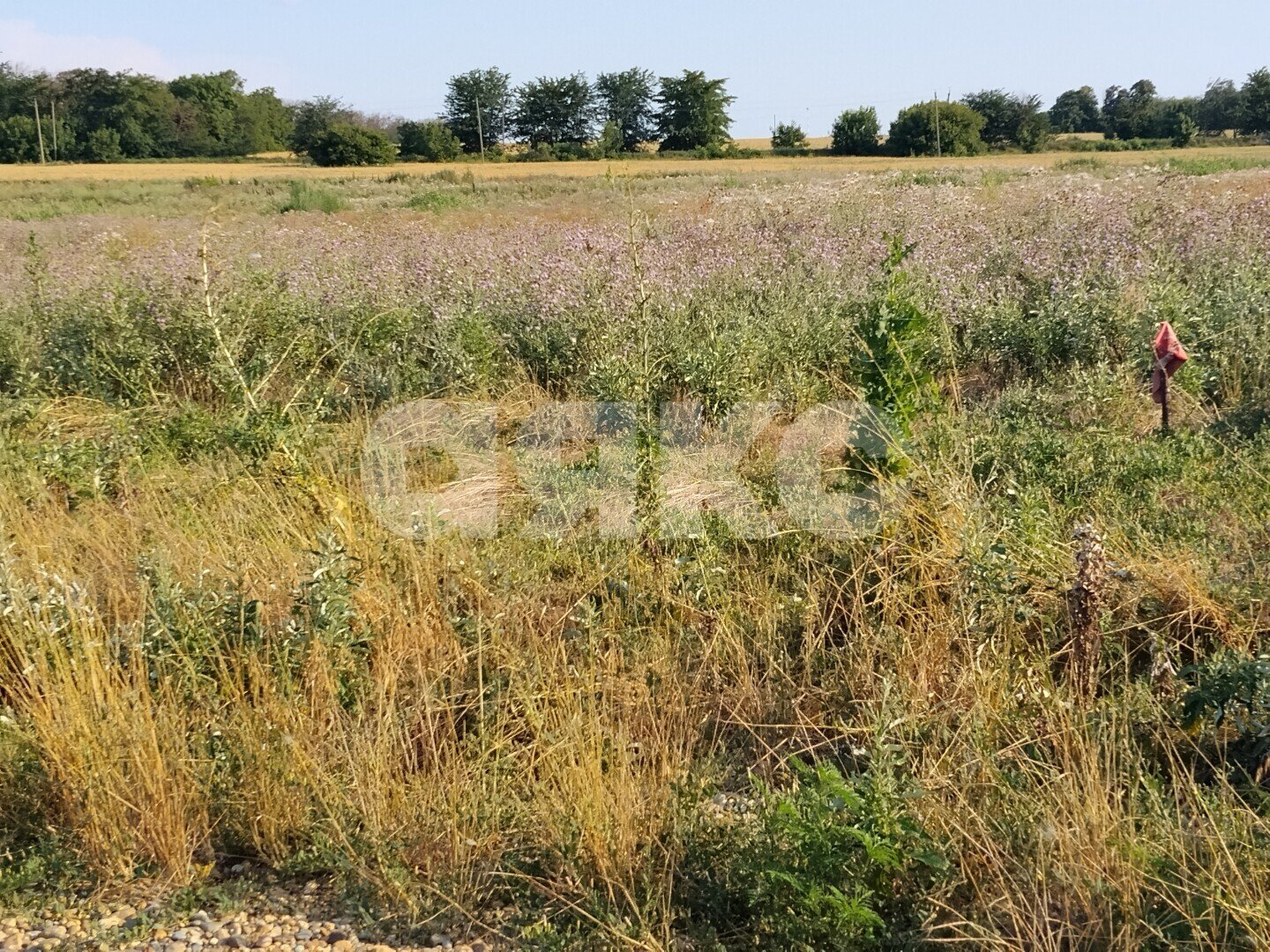 Фото №3: Земельный участок под ИЖС <span class="whitespace-nowrap">6.7 сот.</span> - Кореновск, мкр. 2-й квартал