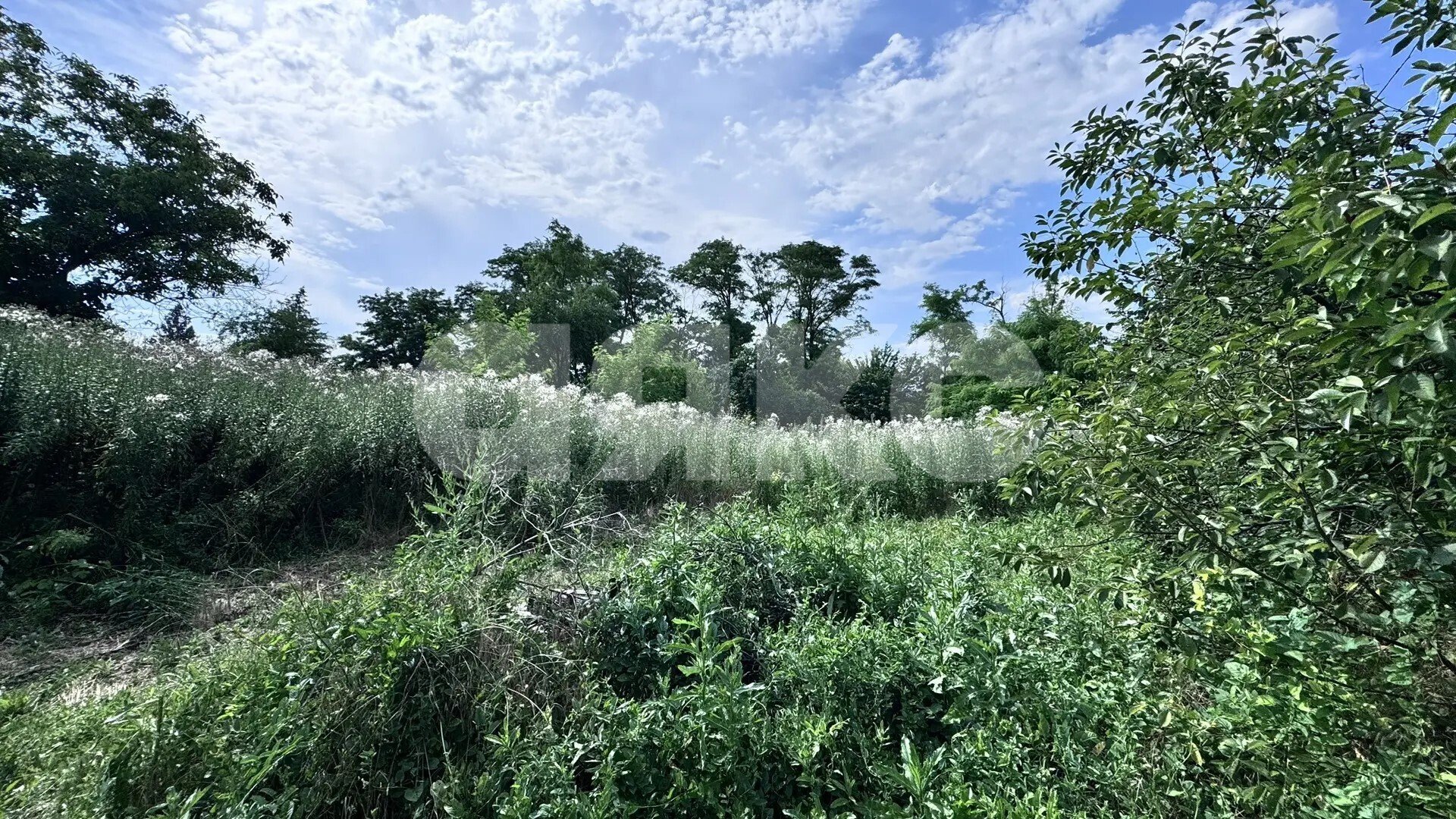 Фото №10: Дом <span class="whitespace-nowrap">57 м²</span> <span class="whitespace-nowrap">+ 15.17 сот.</span>, <span class="whitespace-nowrap">1 эт.</span> - Сергиевская, ул. Красная