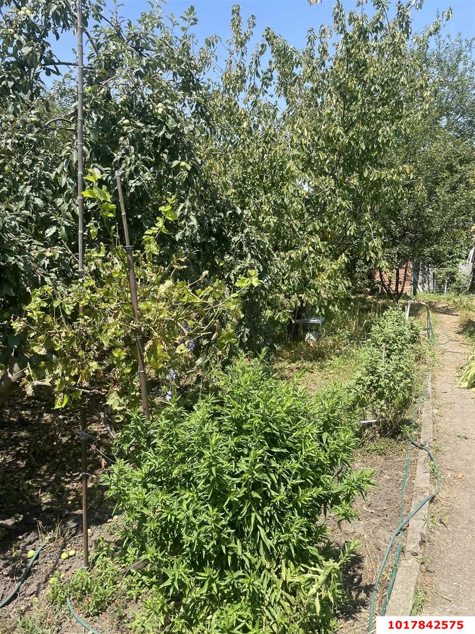 Фото №6: Дом <span class="whitespace-nowrap">104 м²</span> <span class="whitespace-nowrap">+ 9.9 сот.</span>, <span class="whitespace-nowrap">1 эт.</span> - Лазурный, мкр. Прикубанский внутригородской округ, ул. Краснодарская, 11