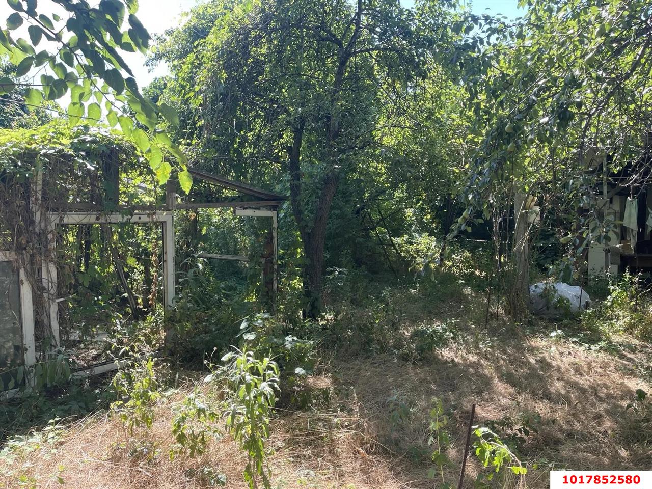 Фото №10: Дом <span class="whitespace-nowrap">59 м²</span> <span class="whitespace-nowrap">+ 6.05 сот.</span>, <span class="whitespace-nowrap">1 эт.</span> - Краснодар, Прикубанский внутригородской округ, Микрохирургии глаза, мкр. СНТ № 1, ул. Малиновая