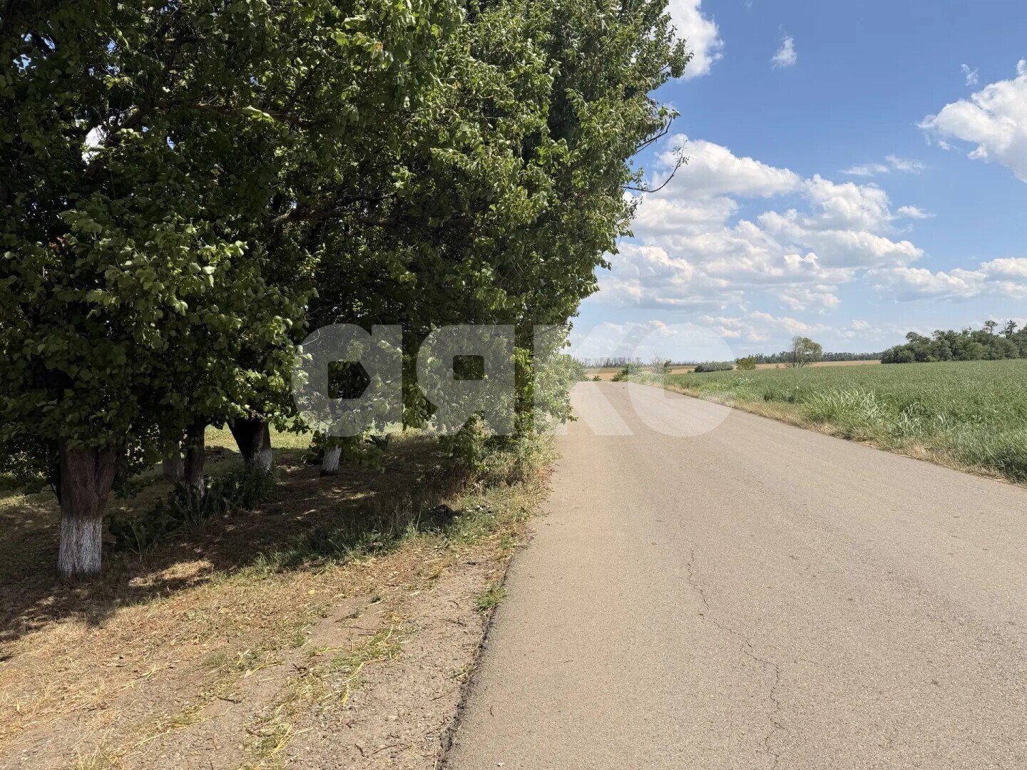 Фото №6: Дом <span class="whitespace-nowrap">53 м²</span> <span class="whitespace-nowrap">+ 26 сот.</span>, <span class="whitespace-nowrap">1 эт.</span> - Казачий, ул. Степная
