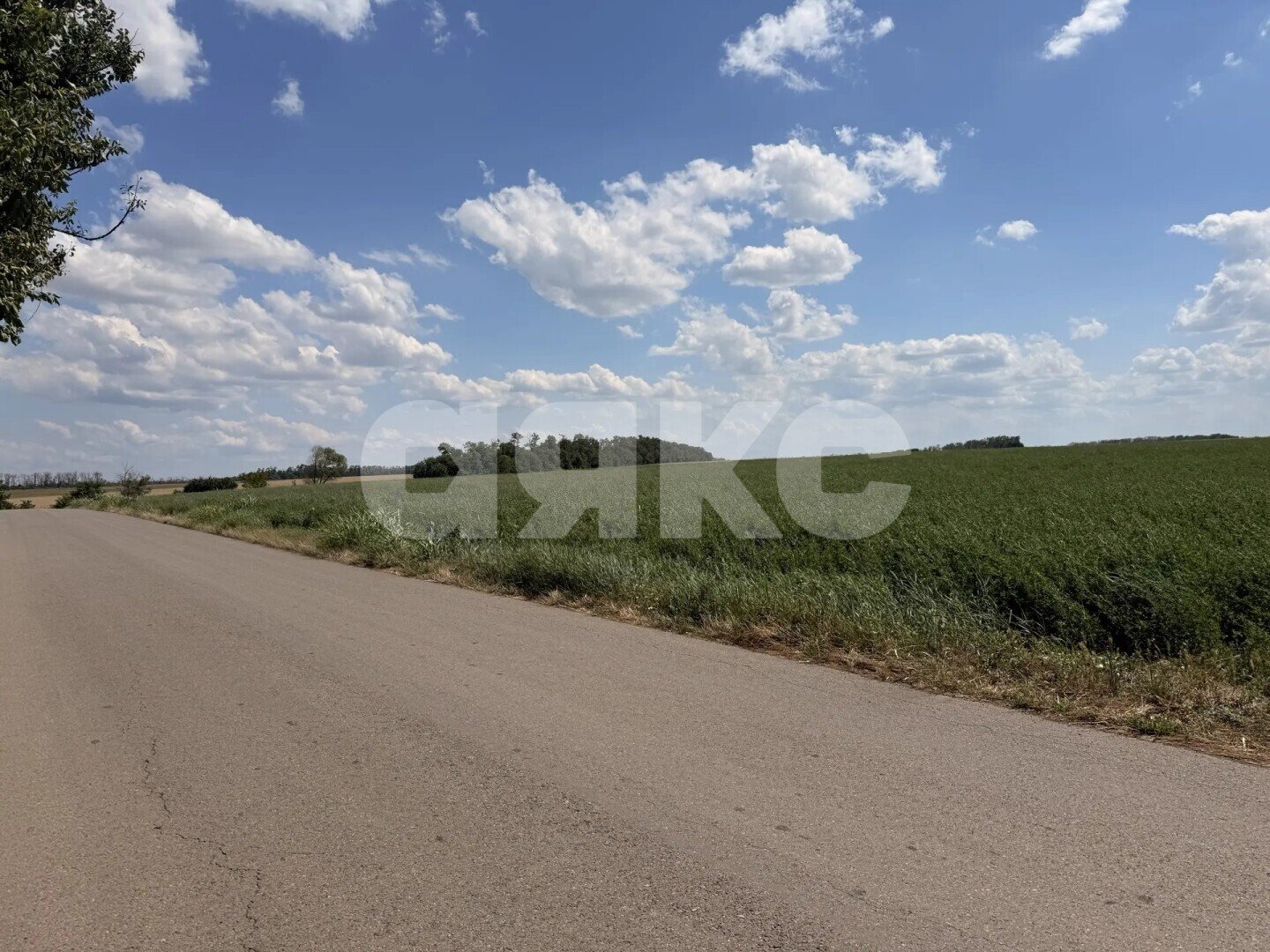 Фото №5: Дом <span class="whitespace-nowrap">53 м²</span> <span class="whitespace-nowrap">+ 26 сот.</span>, <span class="whitespace-nowrap">1 эт.</span> - Казачий, ул. Степная
