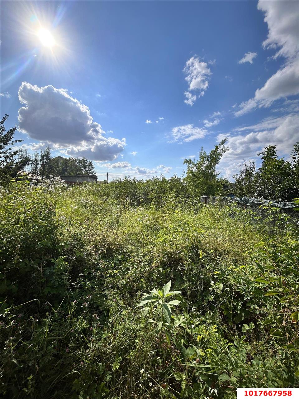 Фото №8: Земельный участок под ИЖС <span class="whitespace-nowrap">4 сот.</span> - Краснодар, Прикубанский внутригородской округ, Сады Калинина, мкр. СНТ КНИИСХ, ул. Земляничная