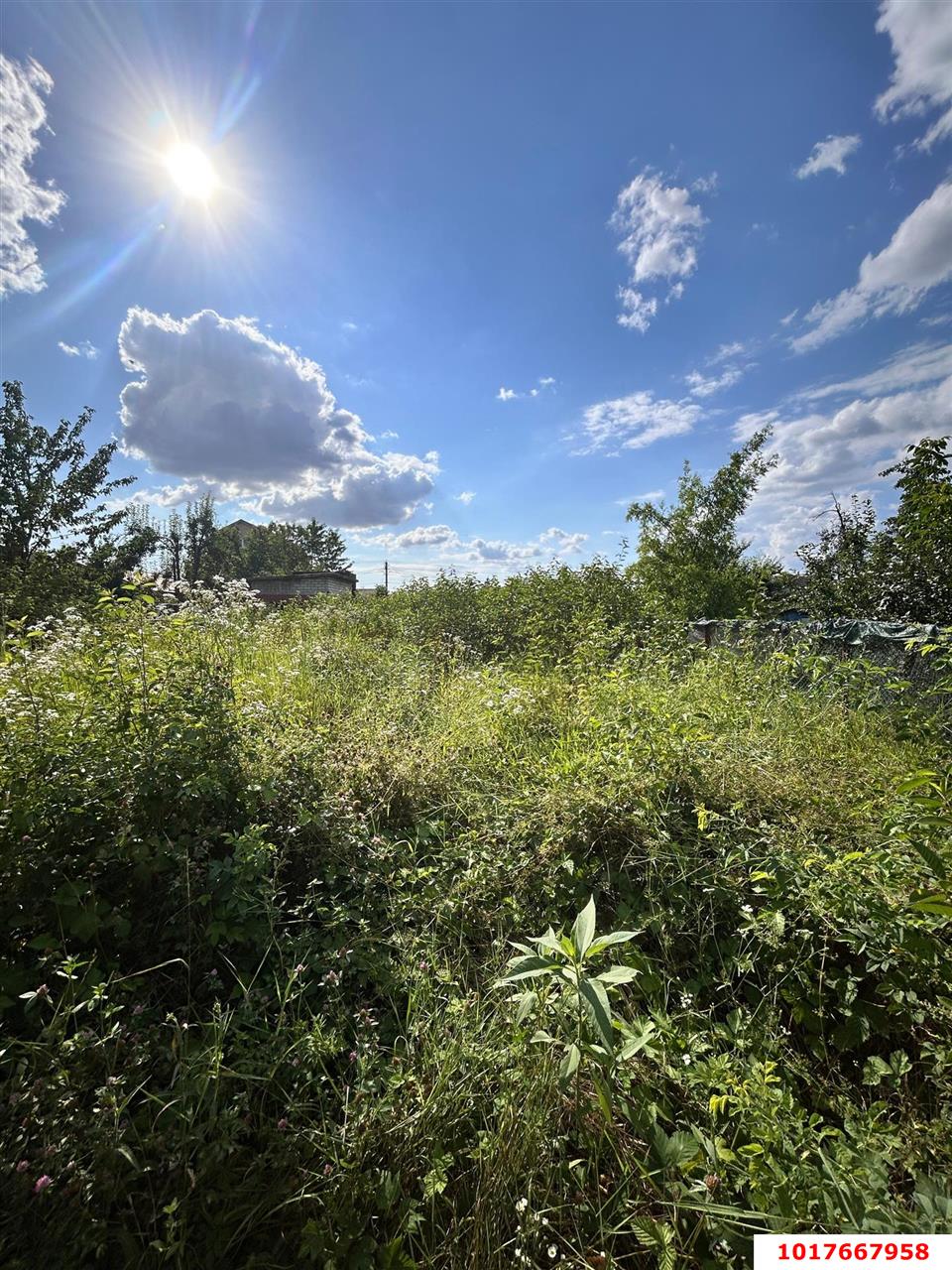 Фото №6: Земельный участок под ИЖС <span class="whitespace-nowrap">4 сот.</span> - Краснодар, Прикубанский внутригородской округ, Сады Калинина, мкр. СНТ КНИИСХ, ул. Земляничная