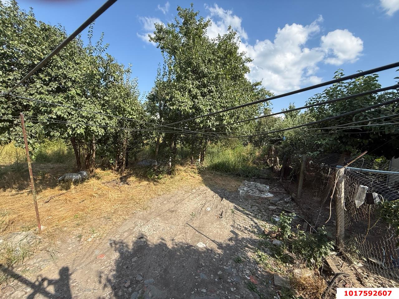 Фото №4: Личное подсобное хозяйство <span class="whitespace-nowrap">5.6 сот.</span> - Елизаветинская, Прикубанский внутригородской округ, мкр. СНТ Роднички, ул. Клубничная, 7