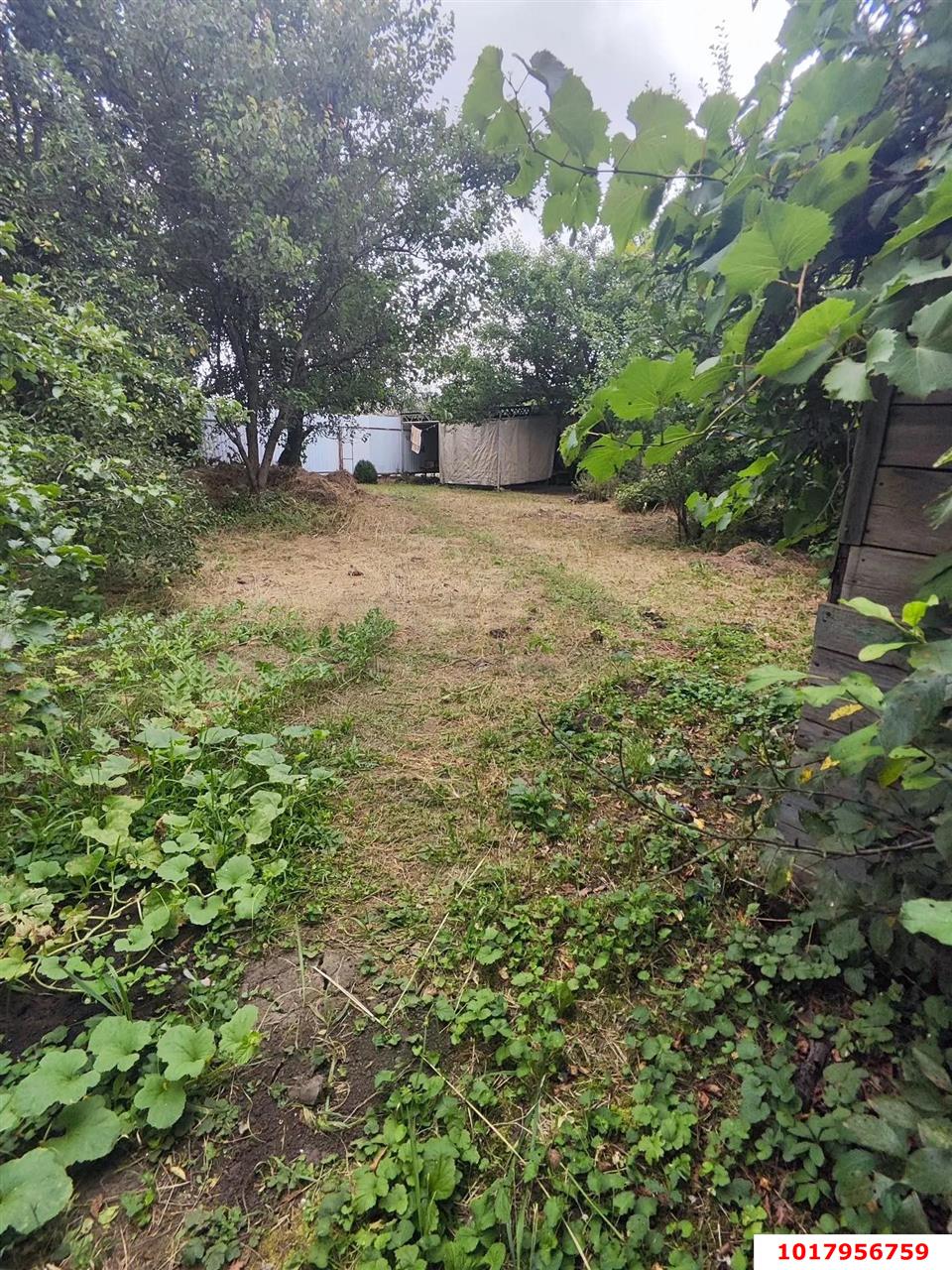 Фото №5: Дом <span class="whitespace-nowrap">21 м²</span> <span class="whitespace-nowrap">+ 6.2 сот.</span>, <span class="whitespace-nowrap">1 эт.</span> - Железнодорожник, мкр. Карасунский внутригородской округ, ул. Припутевая, 21