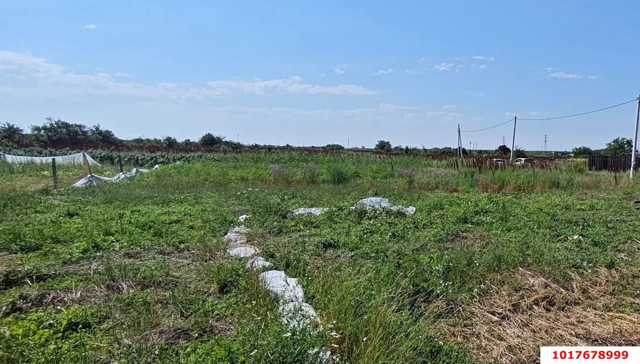 Фото №6: Личное подсобное хозяйство <span class="whitespace-nowrap">9.6 сот.</span> - садово- Эльбрус, 186