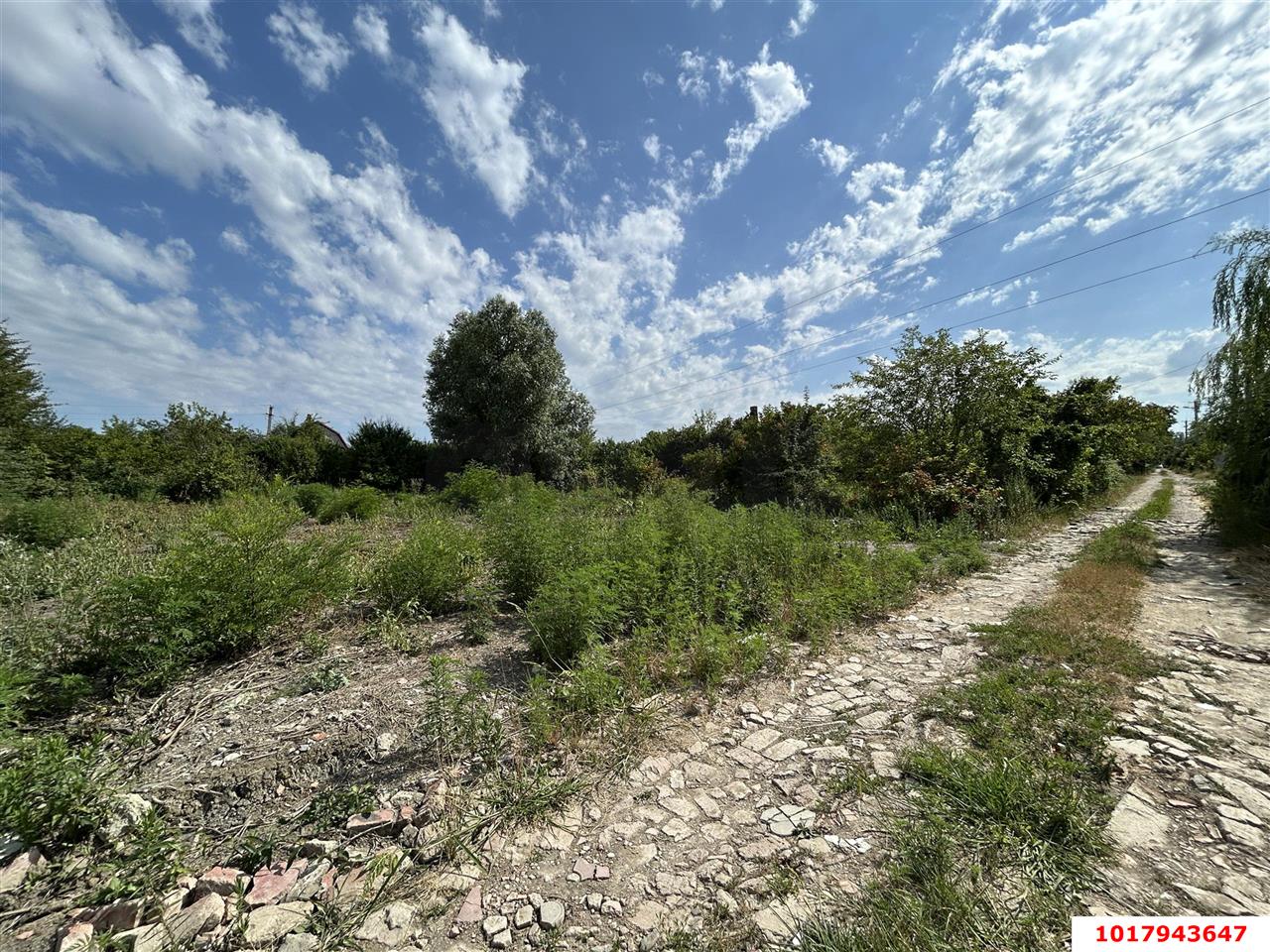 Фото №17: Личное подсобное хозяйство <span class="whitespace-nowrap">7.53 сот.</span> - Елизаветинская, Прикубанский внутригородской округ, мкр. СНТ Стекольщик, ул. Персиковая