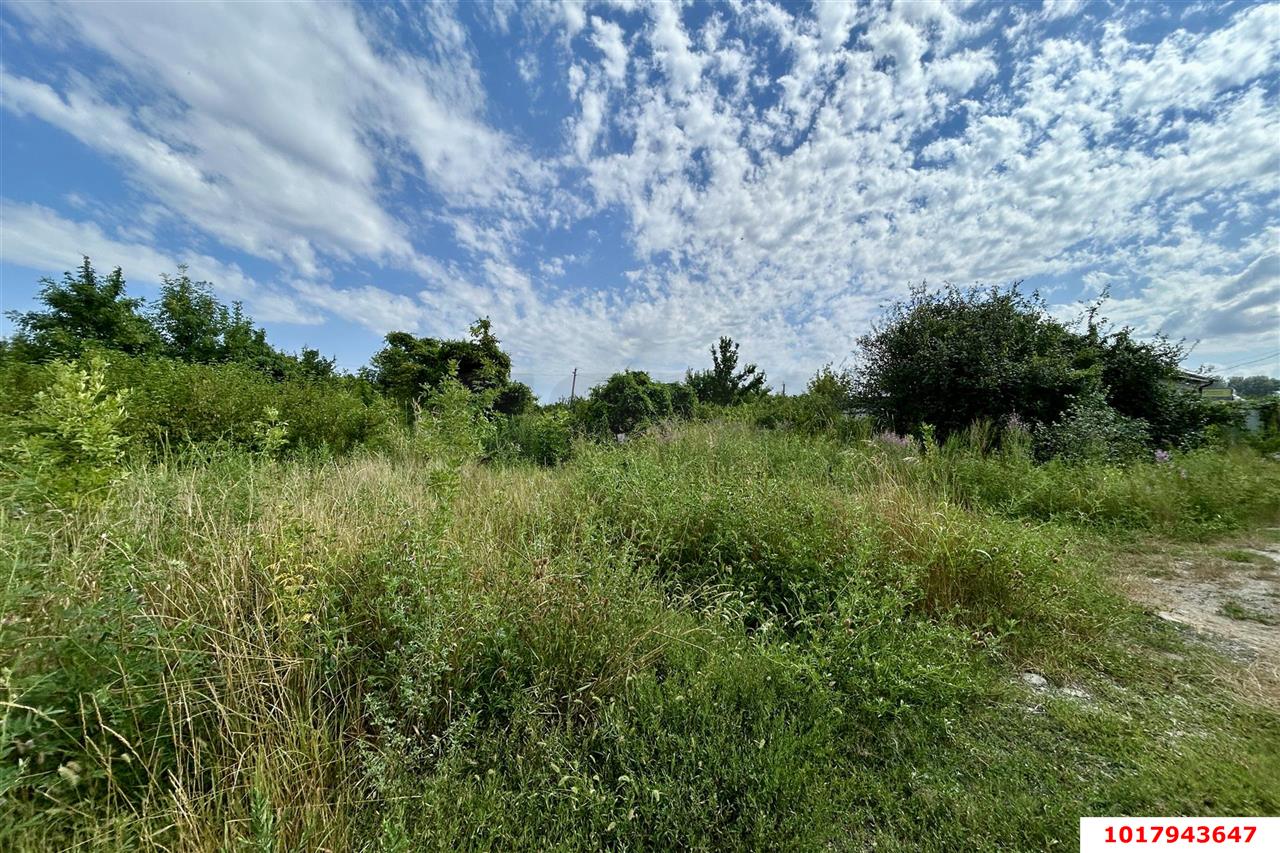 Фото №14: Личное подсобное хозяйство <span class="whitespace-nowrap">7.53 сот.</span> - Елизаветинская, Прикубанский внутригородской округ, мкр. СНТ Стекольщик, ул. Персиковая