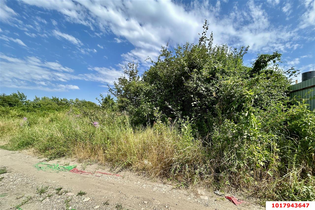 Фото №11: Личное подсобное хозяйство <span class="whitespace-nowrap">7.53 сот.</span> - Елизаветинская, Прикубанский внутригородской округ, мкр. СНТ Стекольщик, ул. Персиковая