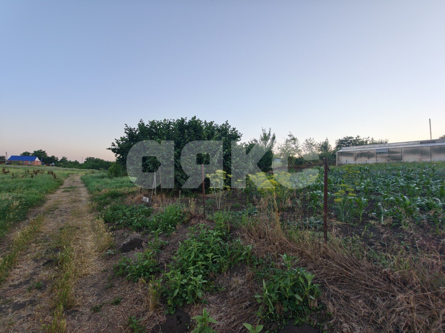 Фото №19: Земельный участок под ИЖС <span class="whitespace-nowrap">10.04 сот.</span> - Журавская, ул. Степная, 2