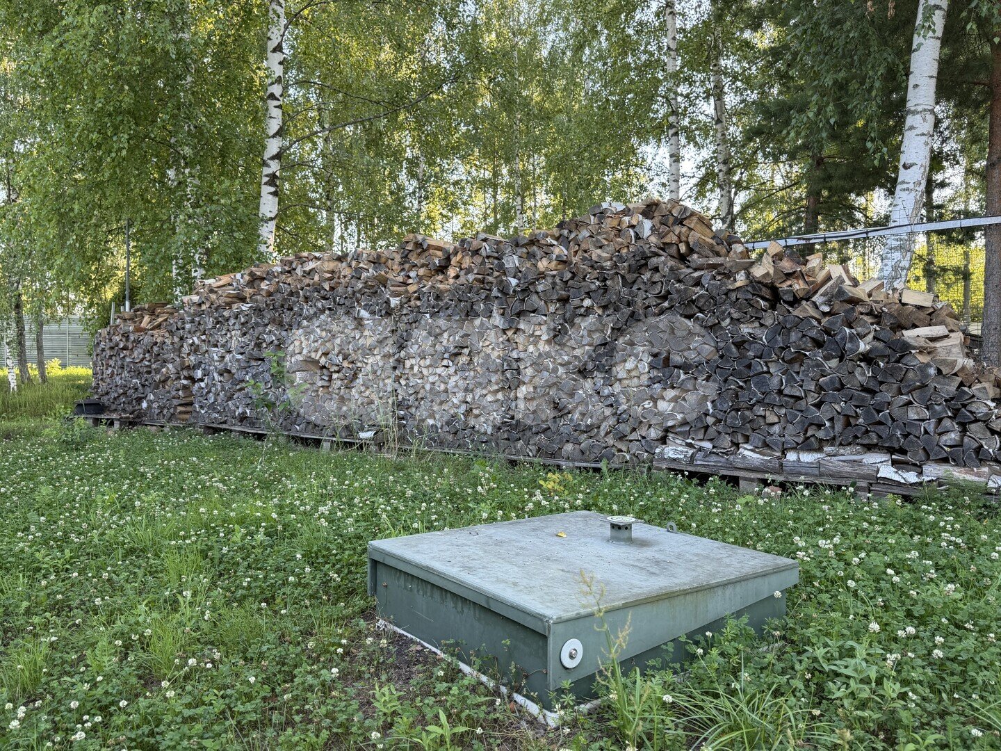 Фото №14: Дом <span class="whitespace-nowrap">63 м²</span> <span class="whitespace-nowrap">+ 25 сот.</span>, <span class="whitespace-nowrap">1 эт.</span> - Пласкинино, ул. Нагорная, 19