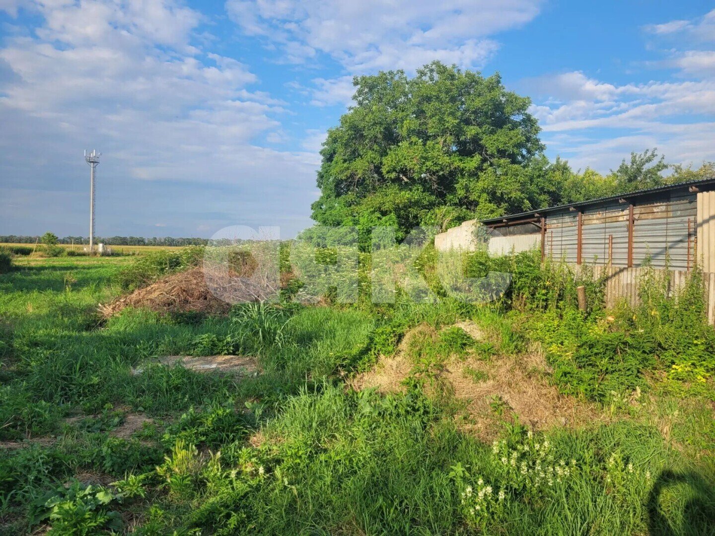 Фото №4: Личное подсобное хозяйство <span class="whitespace-nowrap">15 сот.</span> - Красное Поле, ул. Кочубея, 73