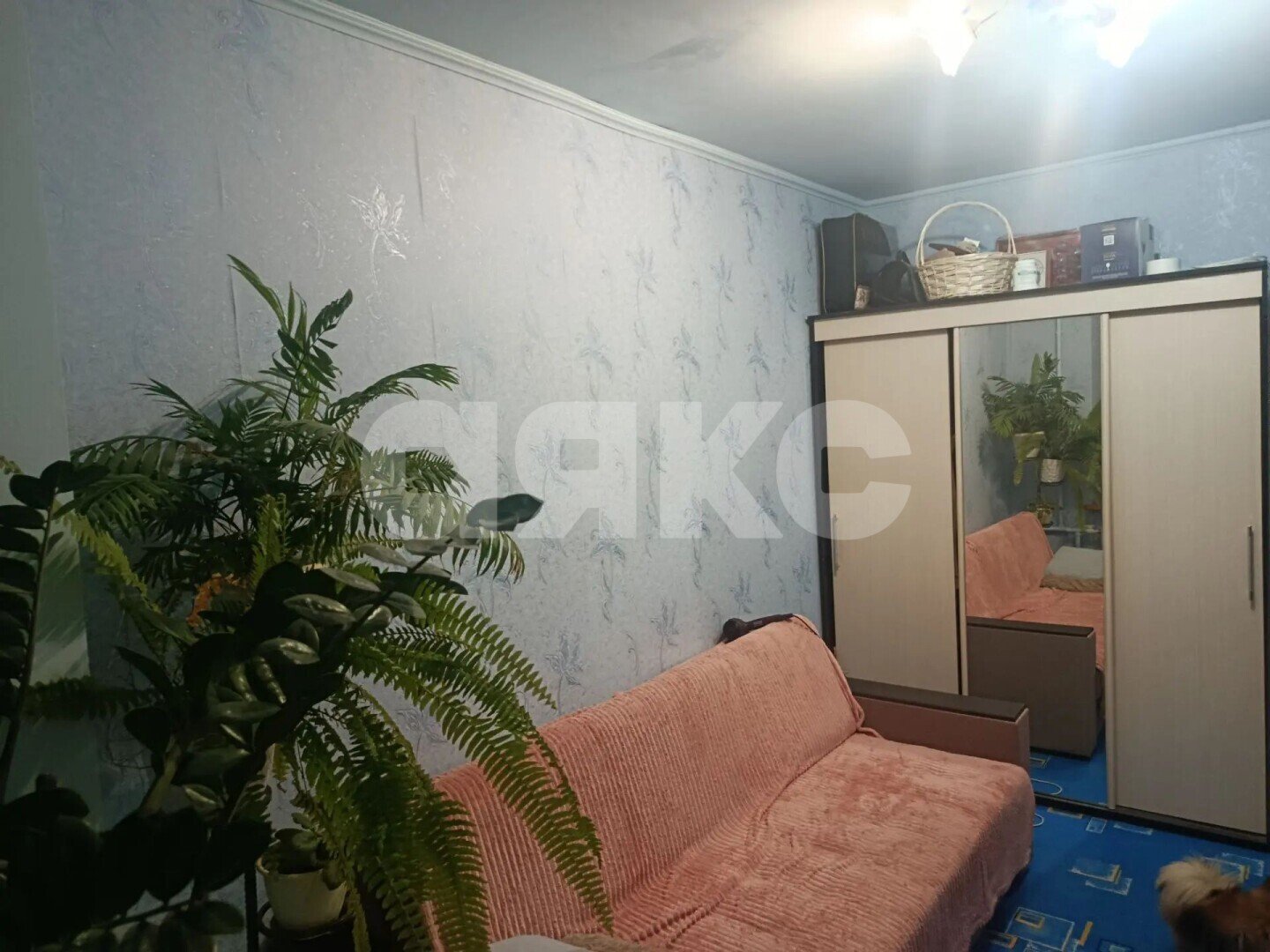 Фото №5: 3-комнатная квартира <span class="whitespace-nowrap">67 м²</span>, <span class="whitespace-nowrap">6/9 эт.</span> - Геленджик, мкр. Парус, 20