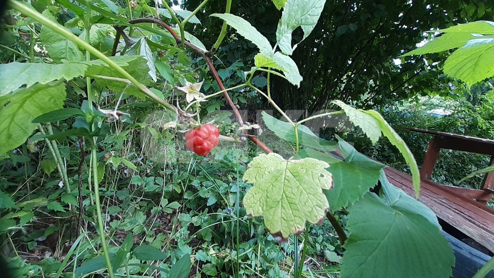 Фото №12: Участок садоводство <span class="whitespace-nowrap">5.66 сот.</span> - Горячий Ключ, Городская Больница, мкр. СТ Кунпанова Поляна, ул. Абрикосовая