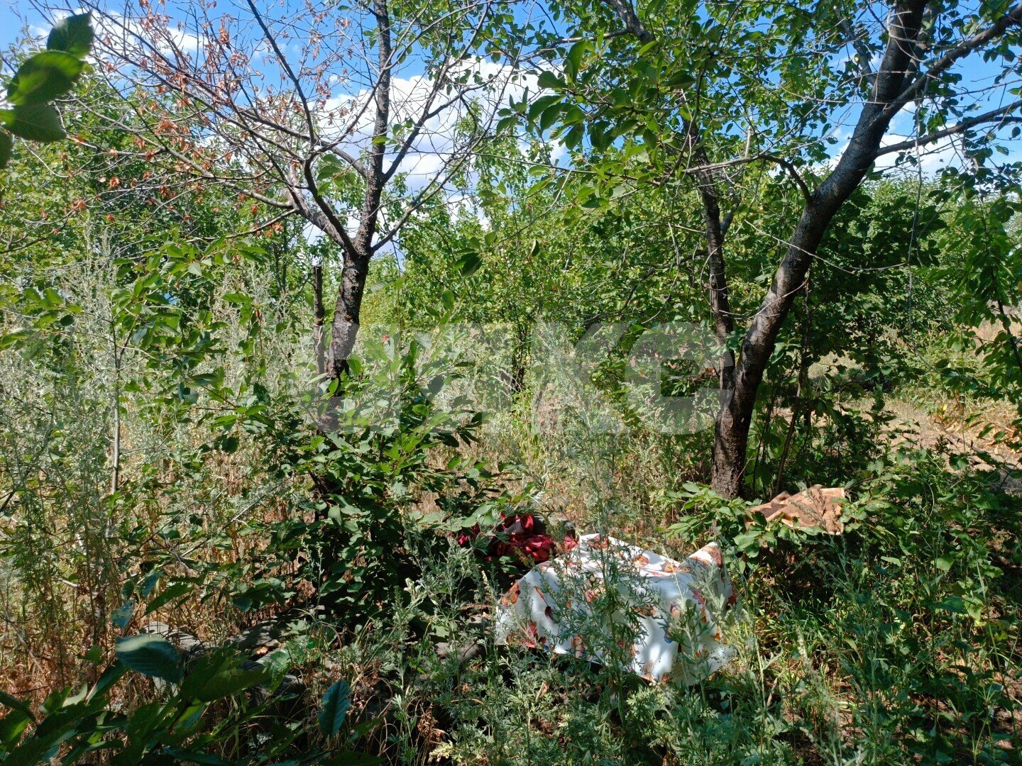 Фото №10: Дача <span class="whitespace-nowrap">12 м²</span> <span class="whitespace-nowrap">+ 4.5 сот.</span>, <span class="whitespace-nowrap">1 эт.</span> - Волгоград, Краснооктябрьский, мкр. СНТ Транспортник
