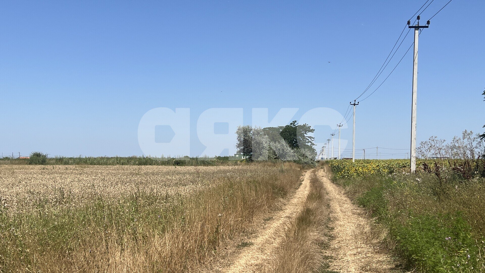 Фото №6: Коммерческая земля <span class="whitespace-nowrap">6 сот.</span> - Витязево, пр-кт Южный