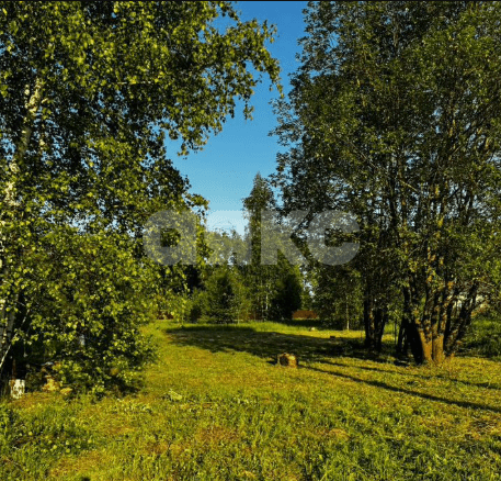 Фото №1: Участок садоводство <span class="whitespace-nowrap">1407 сот.</span> - ТСН Никитские Пруды, ул. Крымская