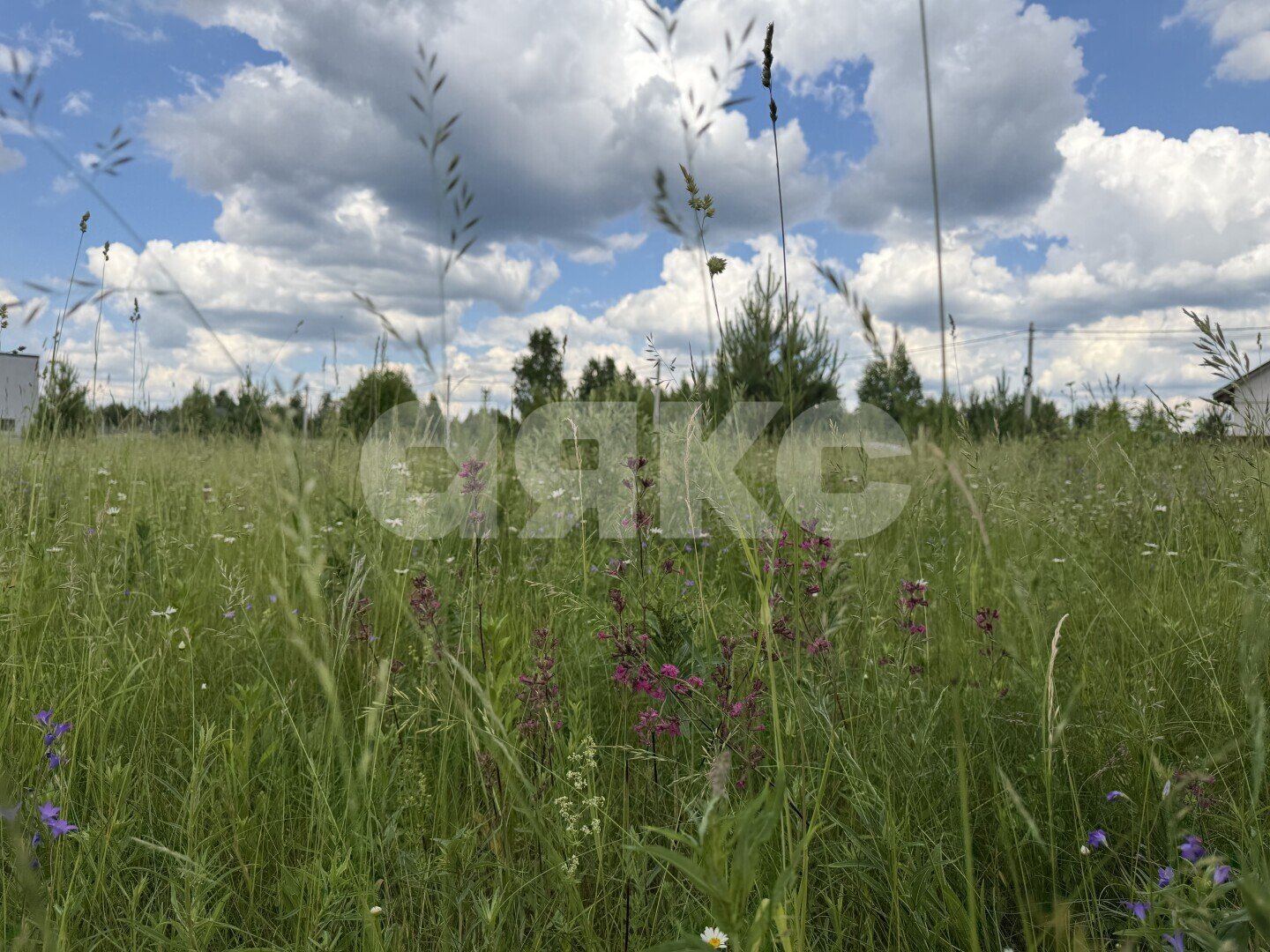 Фото №3: Земельный участок под ИЖС <span class="whitespace-nowrap">12 сот.</span> - Раменское, р. Северный, ул. Зимняя