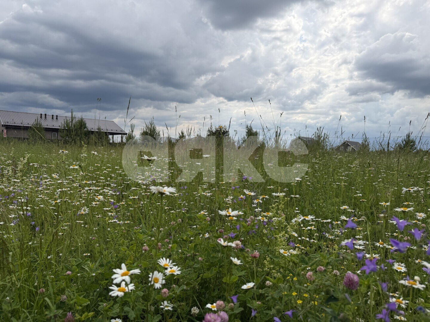 Фото №5: Земельный участок под ИЖС <span class="whitespace-nowrap">12 сот.</span> - Раменское, р. Северный, ул. Зимняя