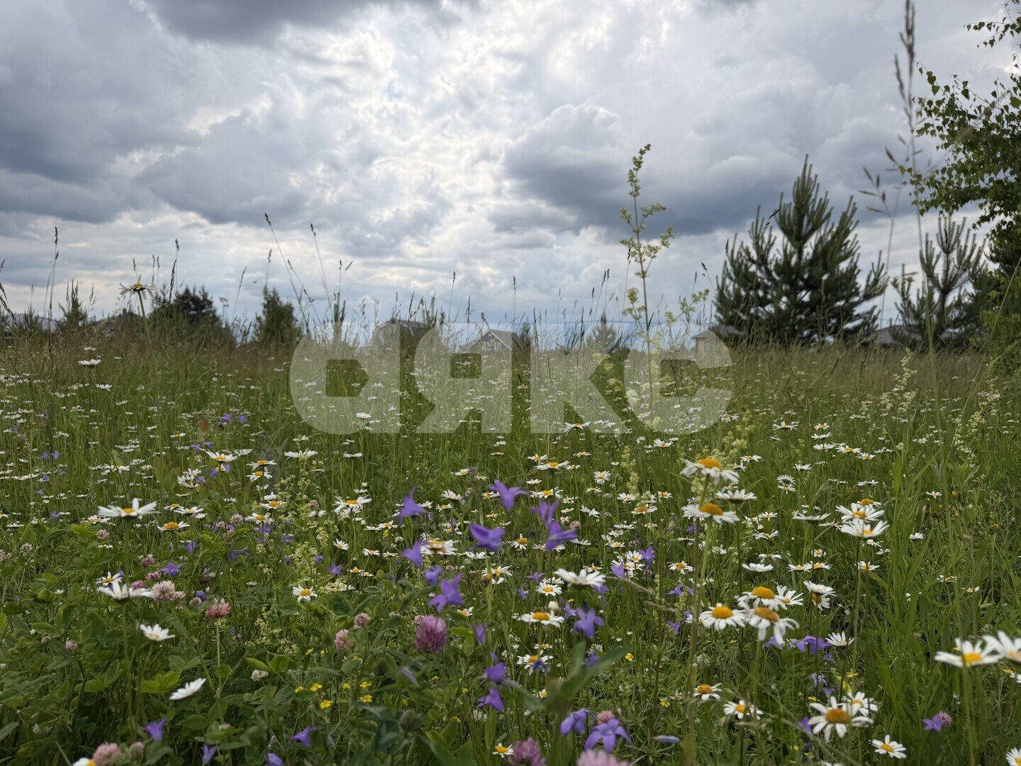 Фото №4: Земельный участок под ИЖС <span class="whitespace-nowrap">12 сот.</span> - Раменское, р. Северный, ул. Зимняя