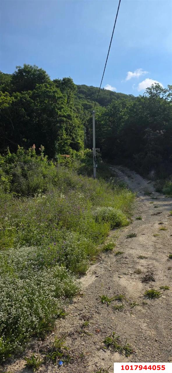 Фото №15: Земельный участок под ИЖС <span class="whitespace-nowrap">6.99 сот.</span> - Ольгинка, мкр. квартал Лесной, 19