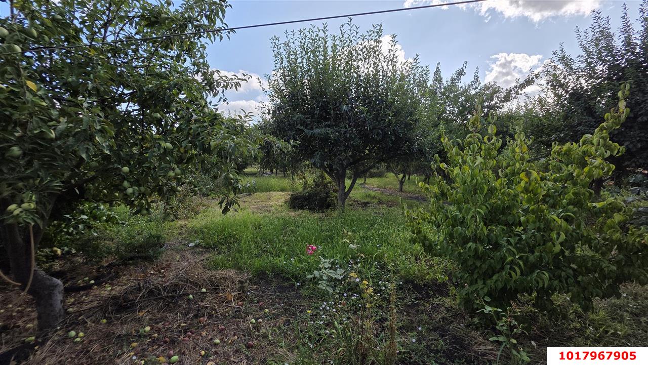 Фото №5: Дом <span class="whitespace-nowrap">46 м²</span> <span class="whitespace-nowrap">+ 8.2 сот.</span>, <span class="whitespace-nowrap">1 эт.</span> - Краснодар, Прикубанский внутригородской округ, мкр. СНТ Солнышко-2, ул. Центральная, 3
