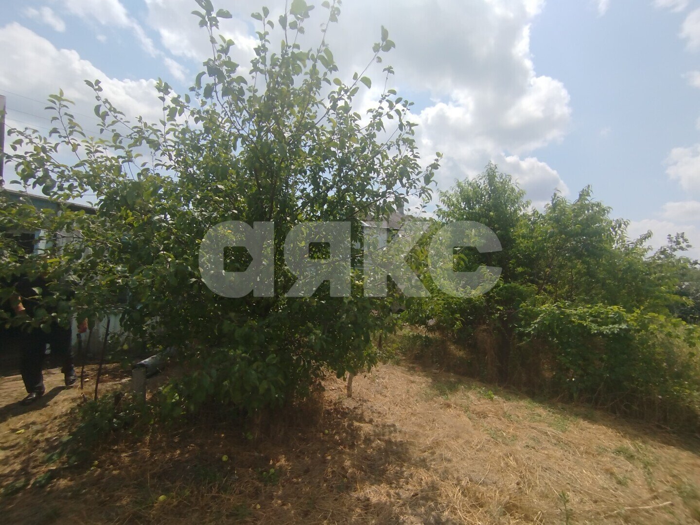 Фото №10: Дом <span class="whitespace-nowrap">75 м²</span> <span class="whitespace-nowrap">+ 13 сот.</span>, <span class="whitespace-nowrap">1 эт.</span> - Коноково, ул. Заводская, 17