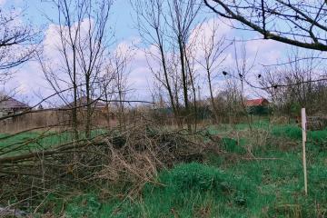 Фото №1: Личное подсобное хозяйство <span class="whitespace-nowrap">8 сот.</span> - Елизаветинская, мкр. СНТ Связист-2, ул. Цветочная