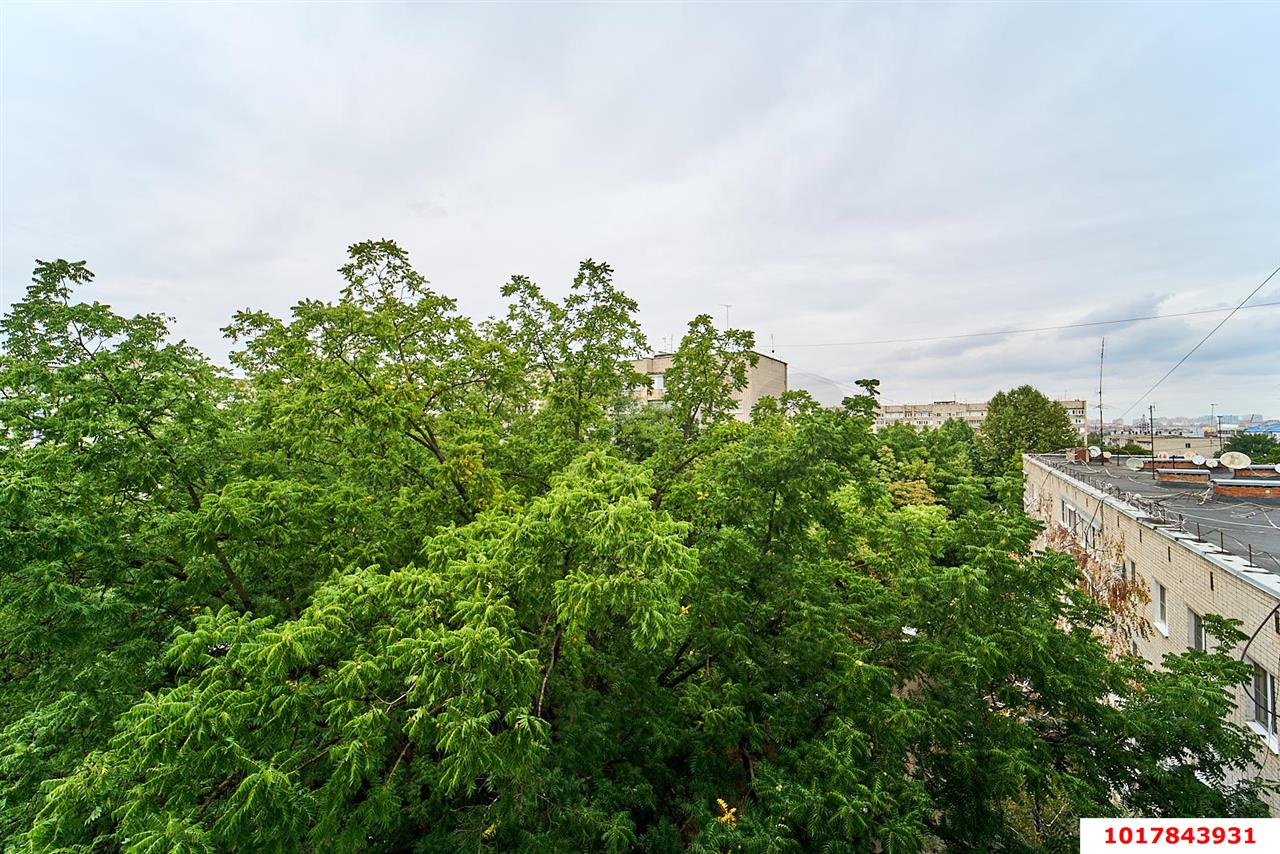 Фото №16: 1-комнатная квартира <span class="whitespace-nowrap">35 м²</span>, <span class="whitespace-nowrap">7/9 эт.</span> - Краснодар, Прикубанский внутригородской округ, мкр. Завод Измерительных Приборов, ул. Карякина, 3