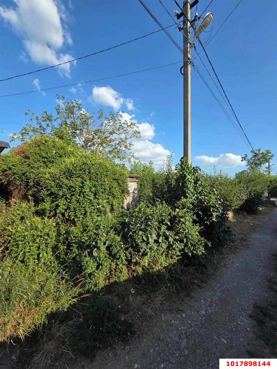 Фото №2: Личное подсобное хозяйство <span class="whitespace-nowrap">6.4 сот.</span> - СНТ Дорожник, мкр. Прикубанский внутригородской округ, ул. Алычёвая, 112