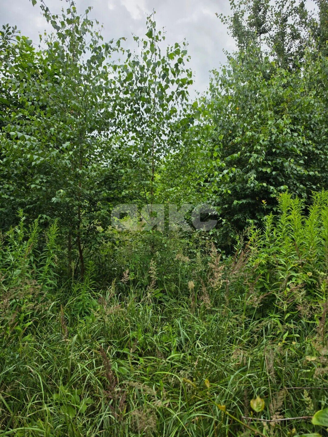 Фото №5: Участок садоводство <span class="whitespace-nowrap">6 сот.</span> - Марусино, мкр. территория СНТ СН Зенино, 6