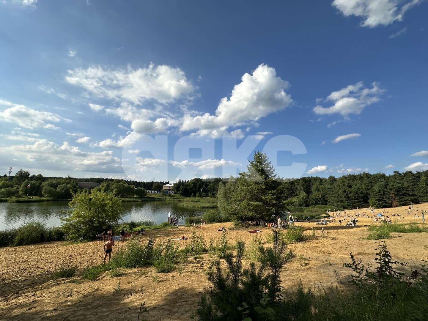 Фото №7: Участок садоводство <span class="whitespace-nowrap">3.4 сот.</span> - СНТ Ольховка