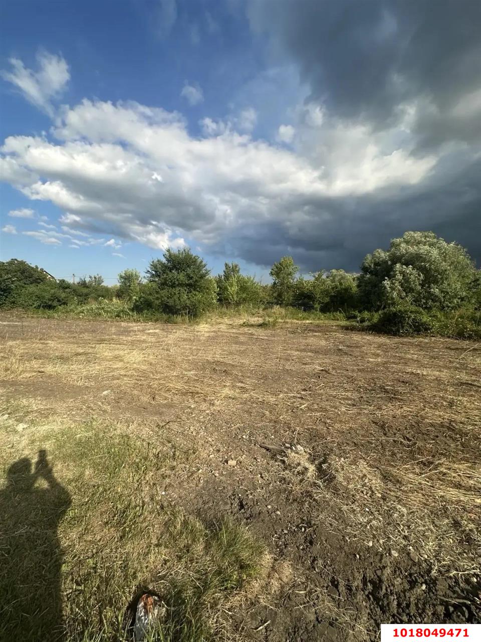 Фото №5: Личное подсобное хозяйство <span class="whitespace-nowrap">8 сот.</span> - Елизаветинская, Прикубанский внутригородской округ, мкр. СНТ Голубая Нива, ул. Грушёвая, 133