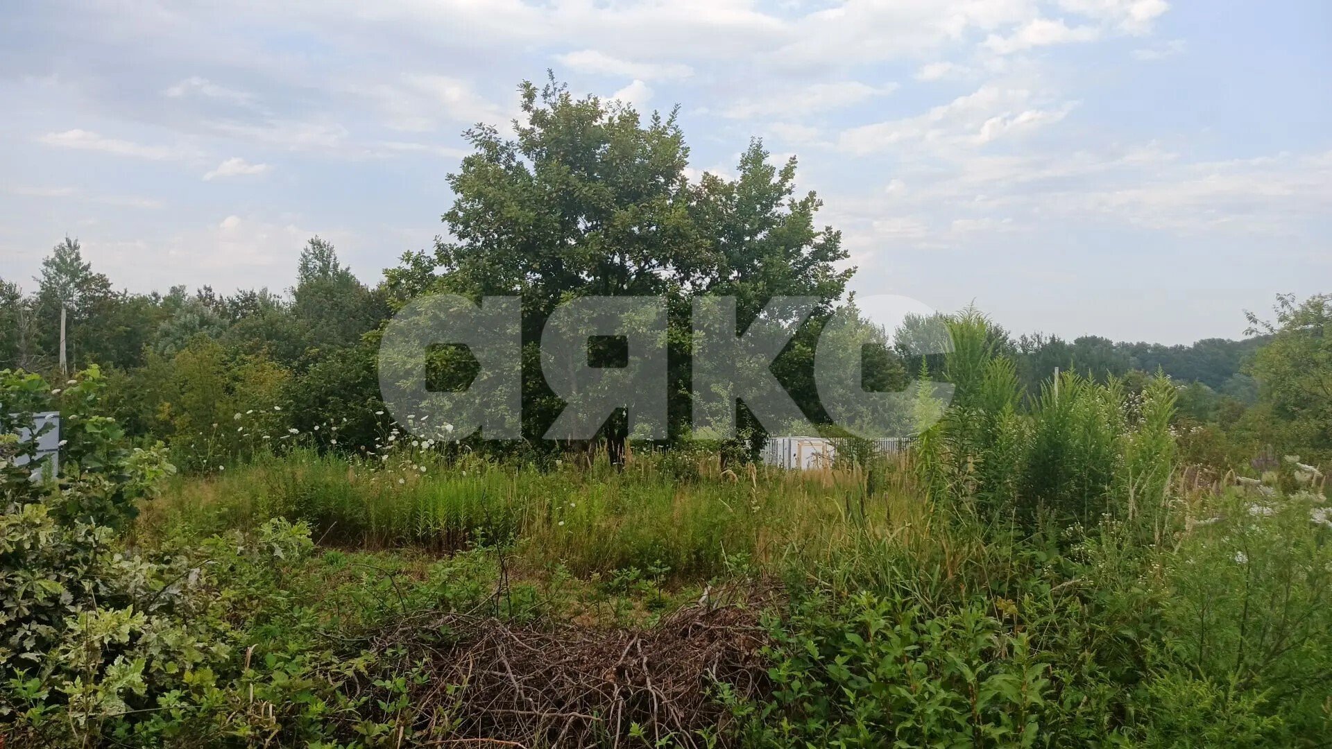 Фото №8: Участок садоводство <span class="whitespace-nowrap">6 сот.</span> - Надежда