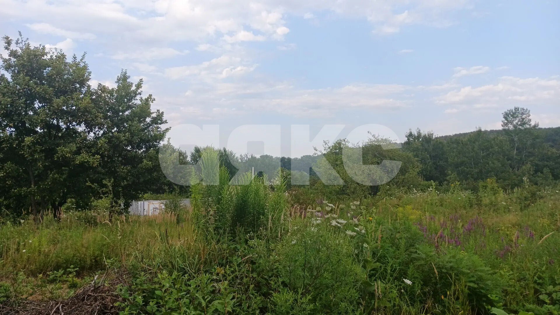 Фото №14: Участок садоводство <span class="whitespace-nowrap">6 сот.</span> - Надежда