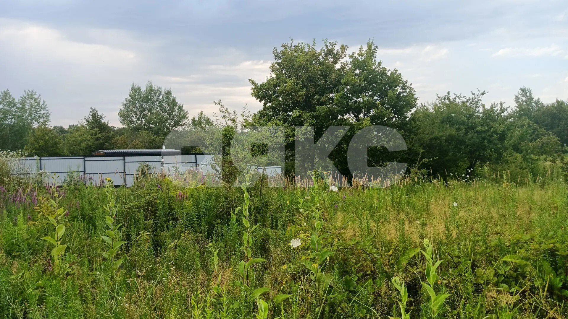 Фото №6: Участок садоводство <span class="whitespace-nowrap">6 сот.</span> - Надежда