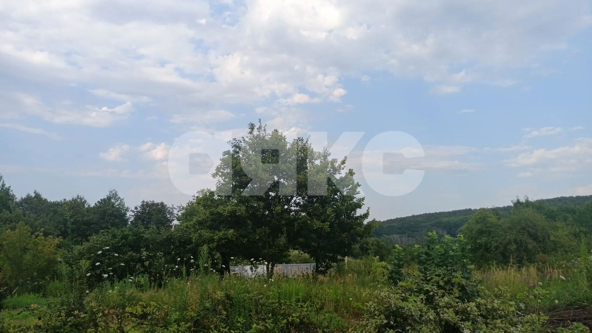 Фото №15: Участок садоводство <span class="whitespace-nowrap">6 сот.</span> - Надежда